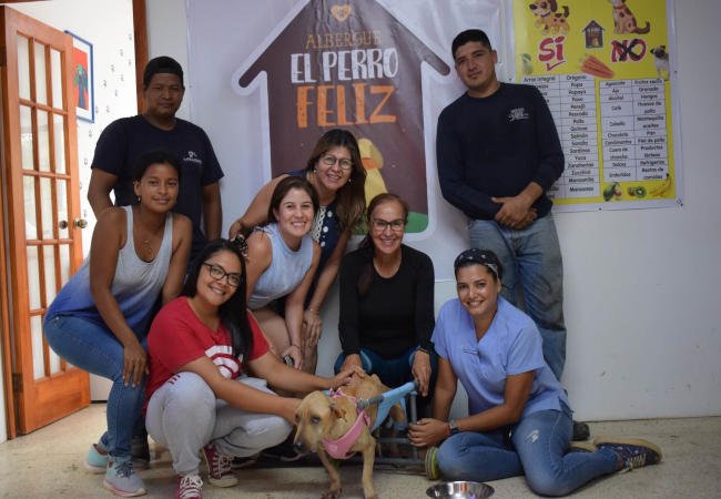 Albergue “El Perro Feliz” Hospital and medical care for animals in Bahía de Caráquez, Ecuador