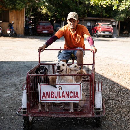 Albergue “El Perro Feliz” Hospital and medical care for animals in Bahía de Caráquez, Ecuador