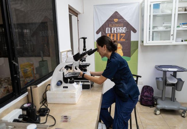 Albergue “El Perro Feliz” Hospital and medical care for animals in Bahía de Caráquez, Ecuador