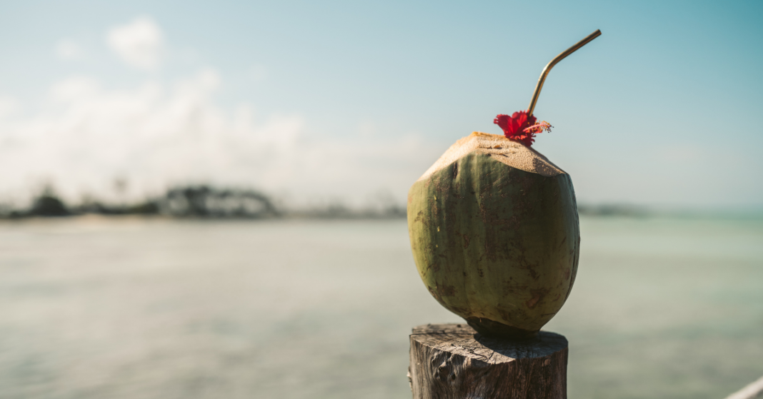 ceviche and coconut in bahia de caraquez ecuador