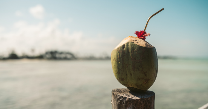 ceviche and coconut in bahia de caraquez ecuador